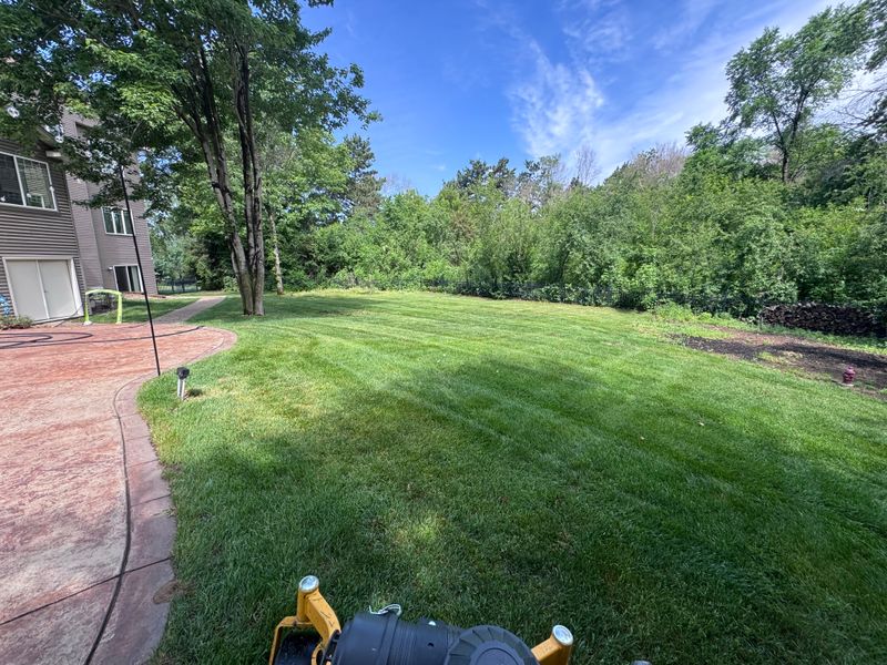 Lawn Maintenance