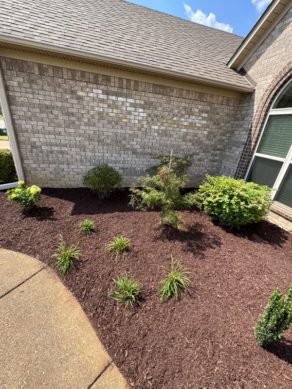 Landscape Design and Installation