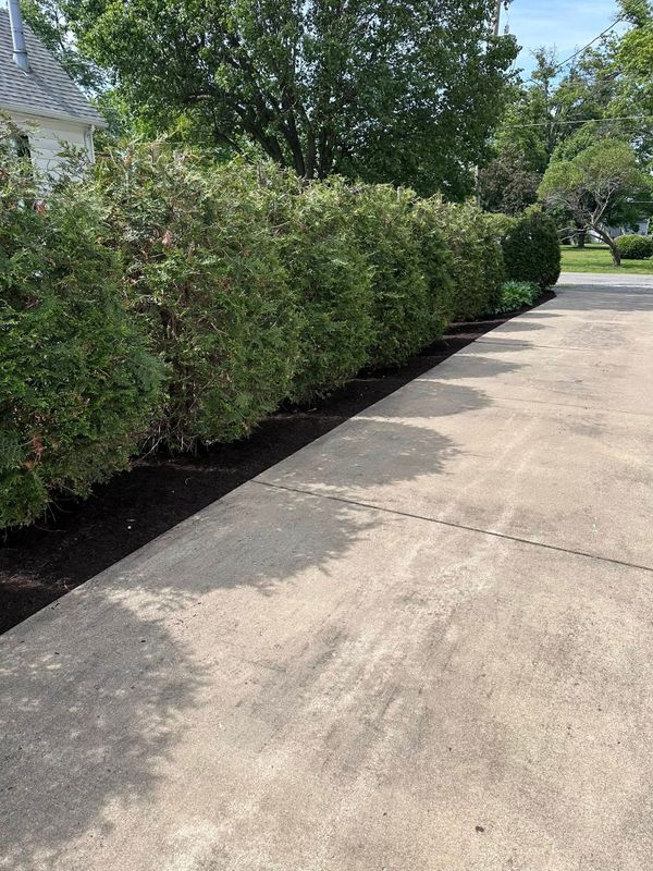 Mulching