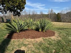 Lawn Care Services