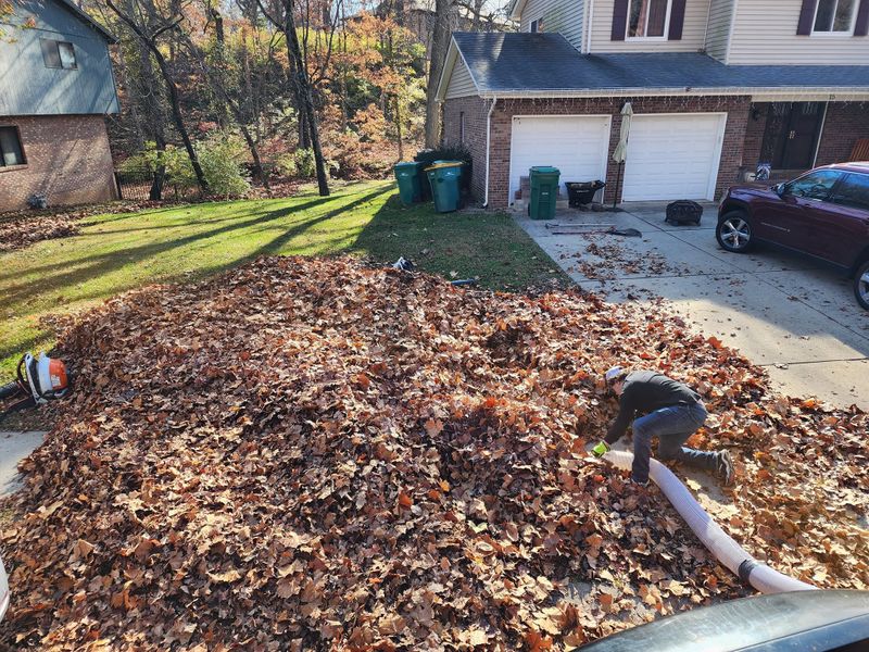 Seasonal Cleanups