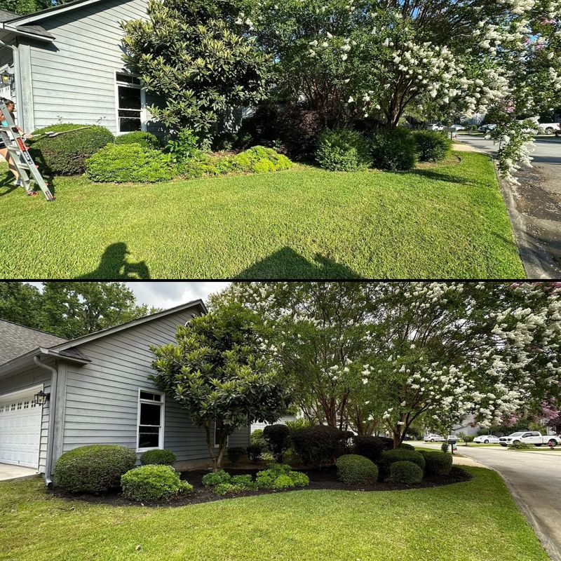 Landscaping