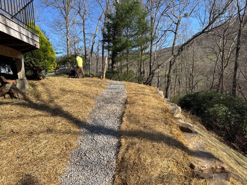 Turf Repair, Overseeding and Top Dressing