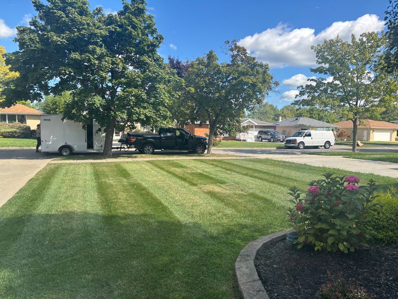 Lawn Maintenance