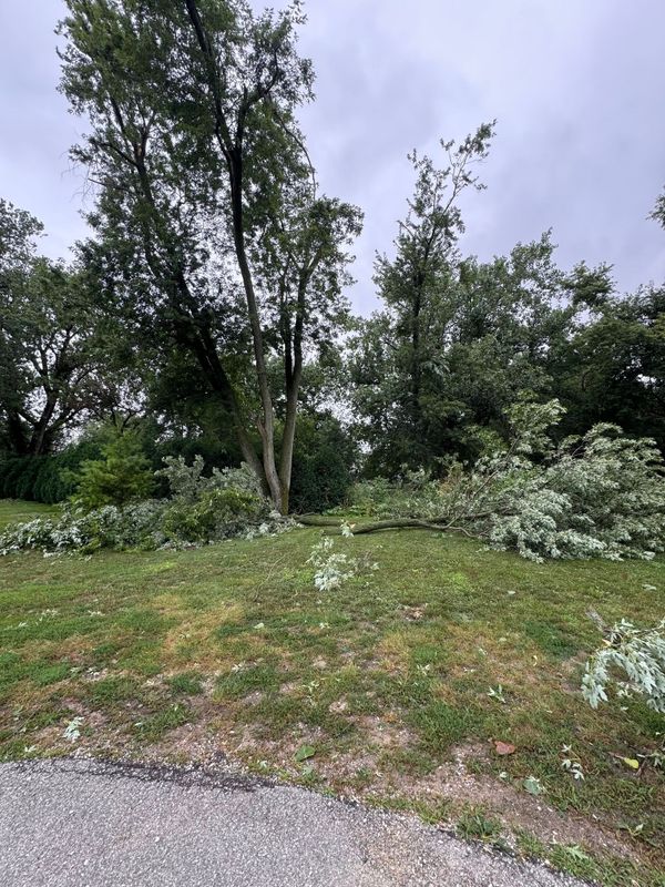 Land Clearing and Site Preparation