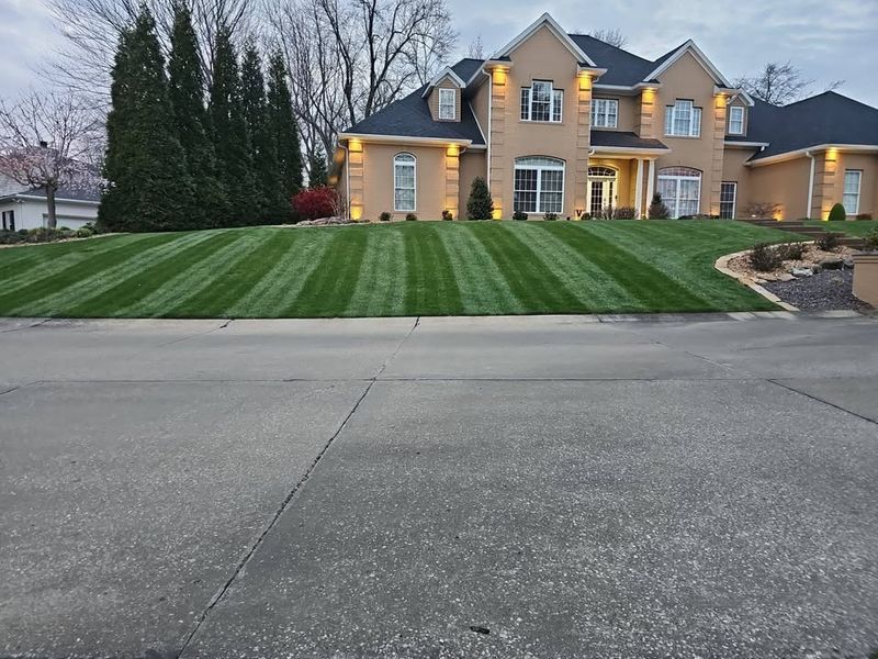Lawn Maintenance Service