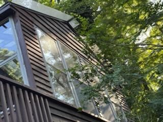 exterior painting and flooring