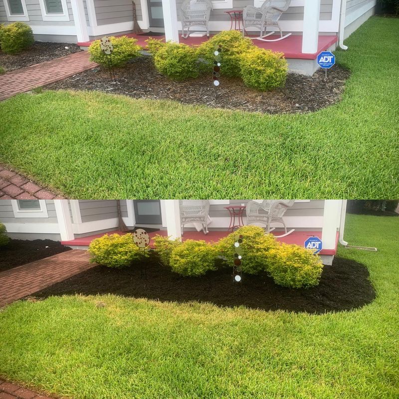 Landscape & Property Cleanup
