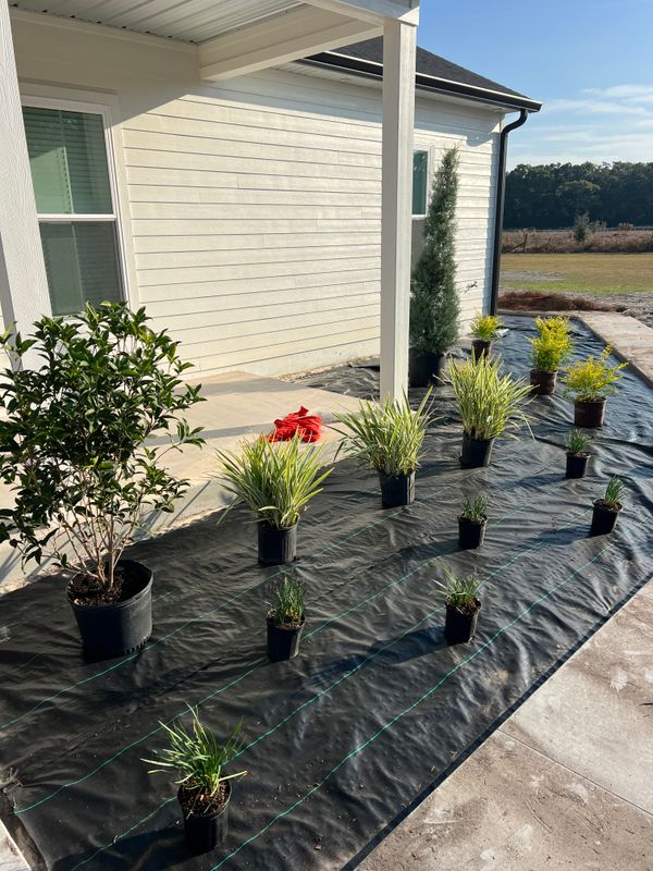 Sod Installation