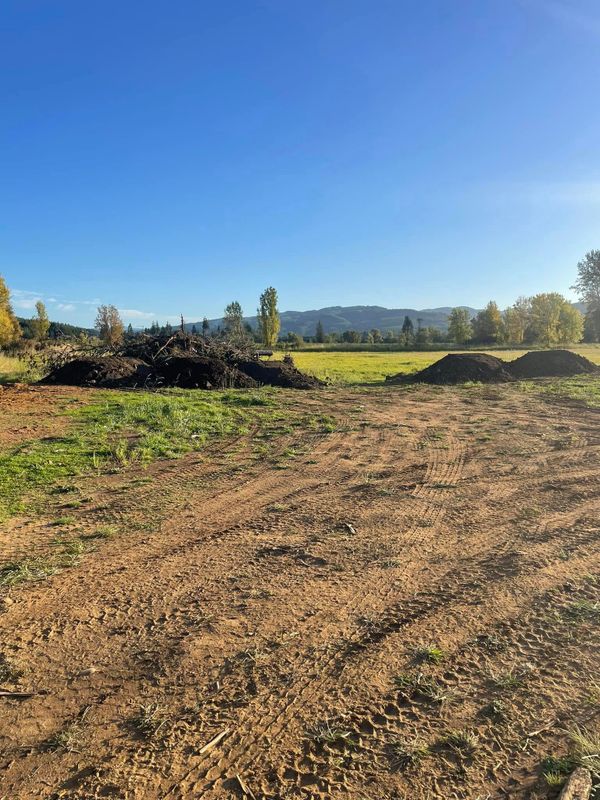 Land Clearing