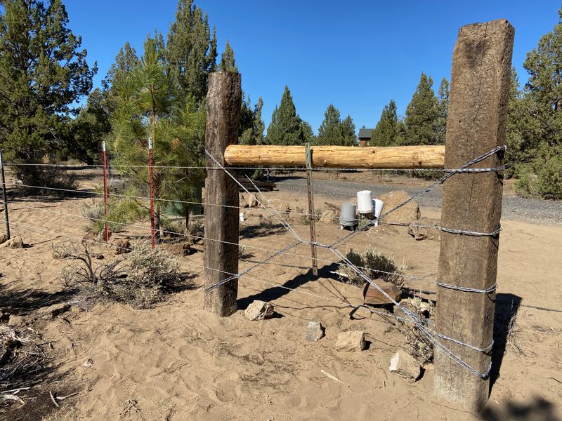 Barbed Wire Fencing