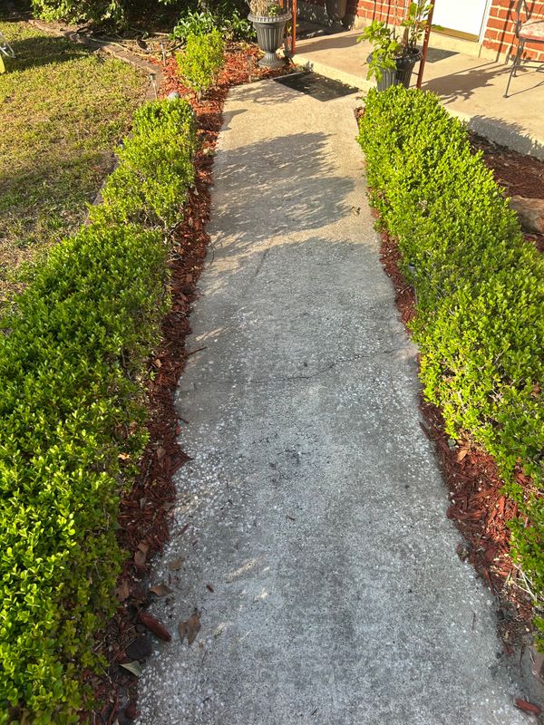 Driveway and Sidewalk Cleaning