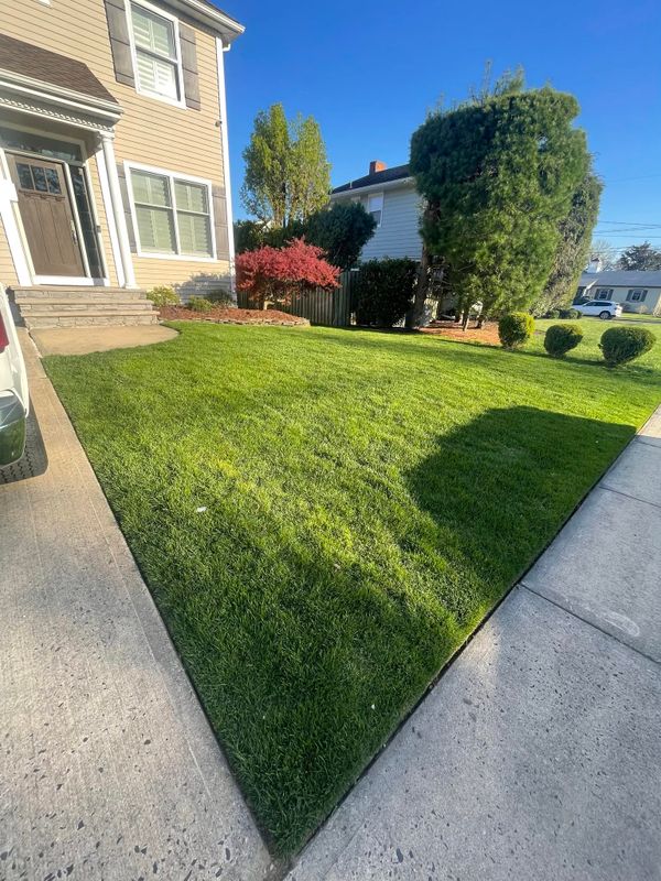 Lawn Maintenance