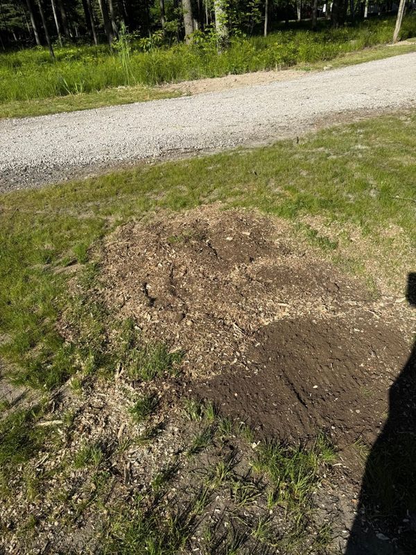 Stump Grinding