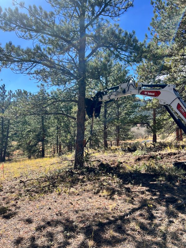 Land Clearing