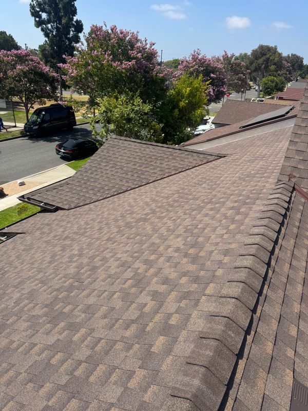 Shingle Roofing