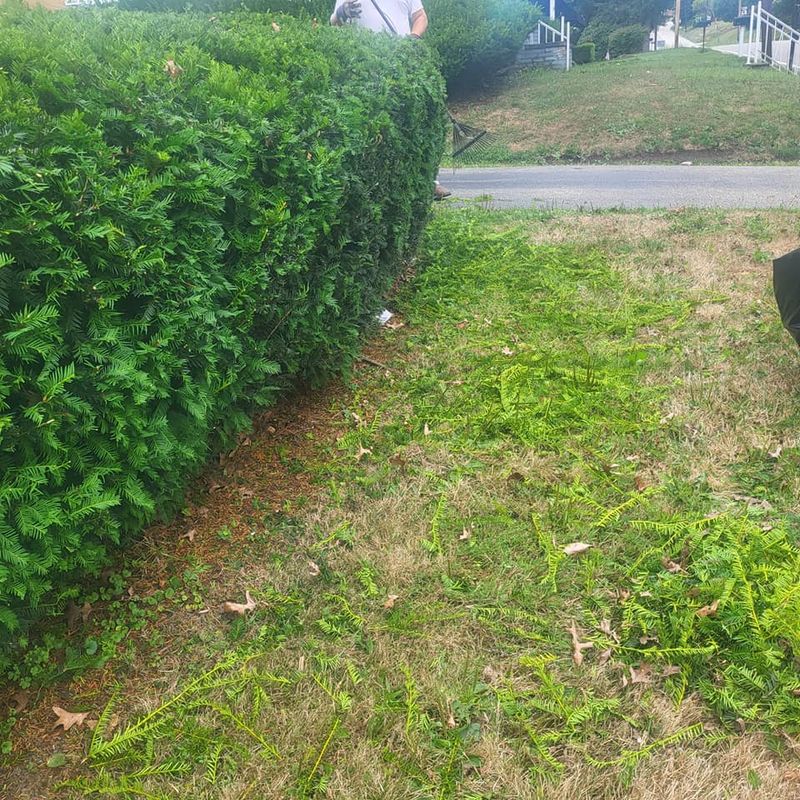 Landscaping & Hardscaping