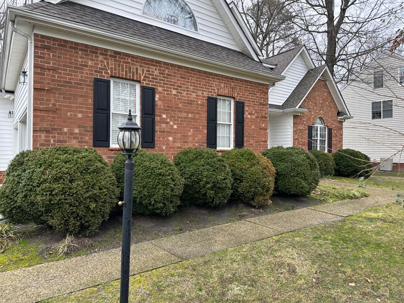 Shrub and tree Trimming