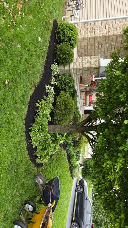 Garden Design and Installation