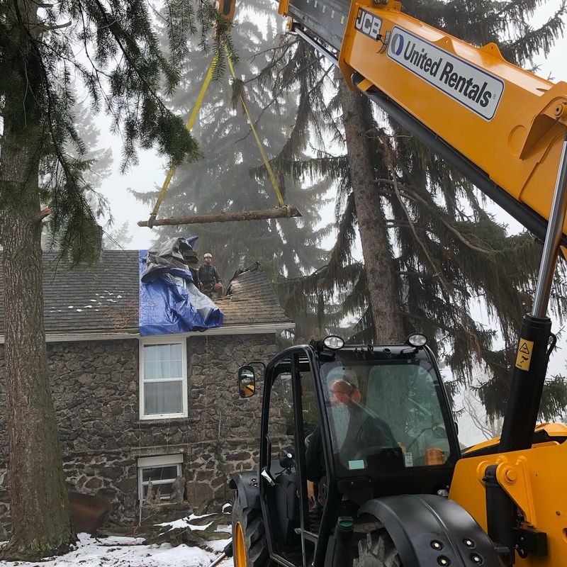 Tree Removal gallery