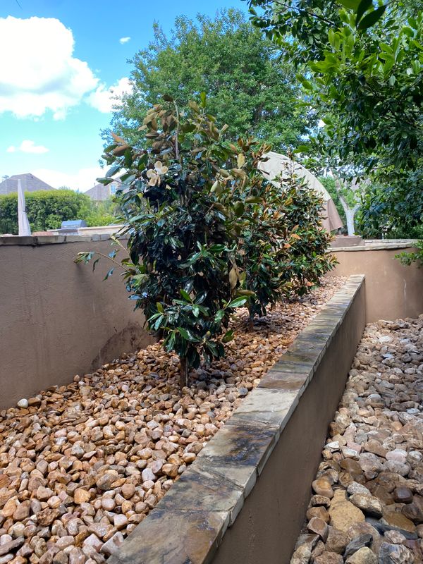 Xeriscaping Services