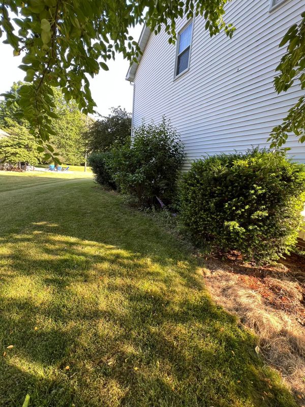 Landscaping