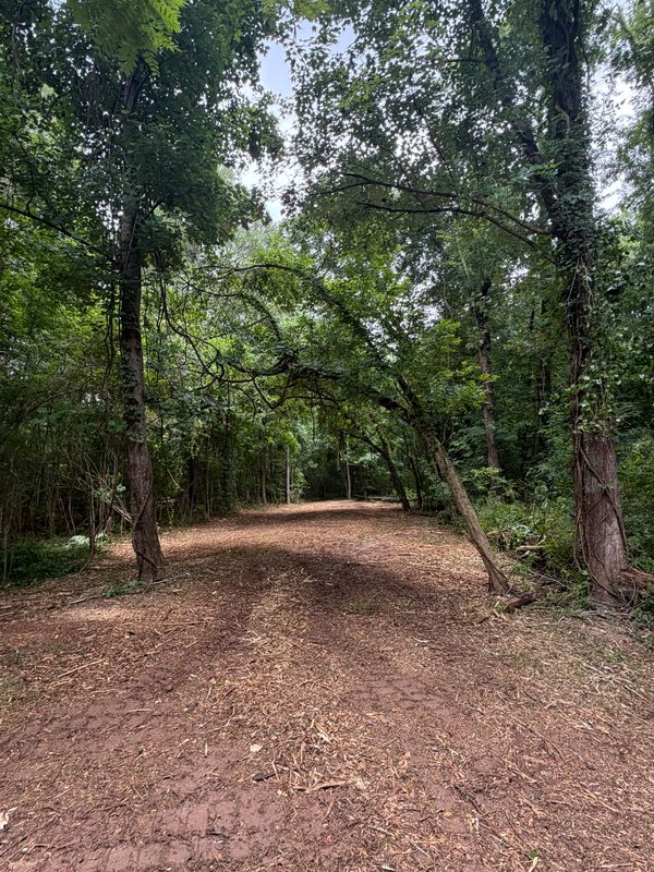 Land Clearing