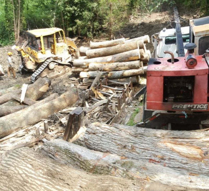 Logging gallery