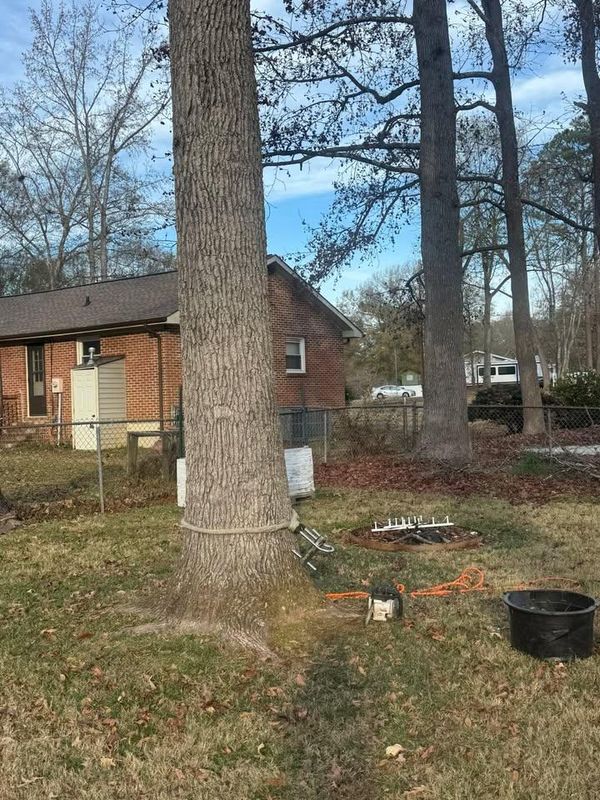 Stump Removal