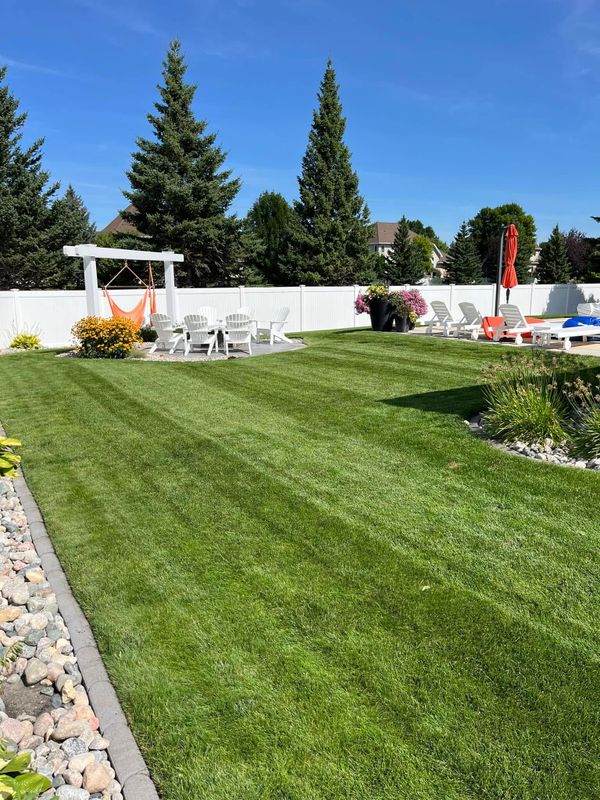 Organic Lawn Fertilization