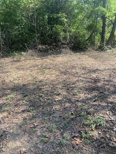 Land Clearing