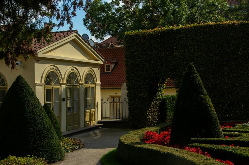 Hedge Trimming