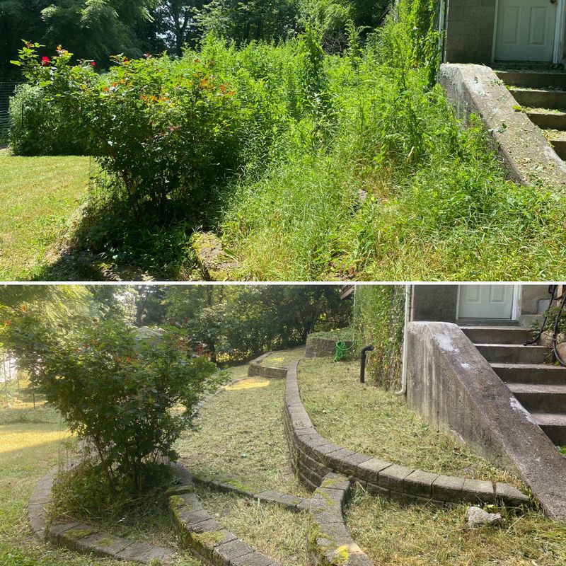 Landscaping