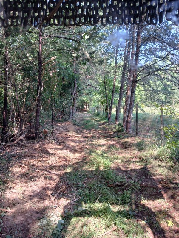 Forestry Mulching