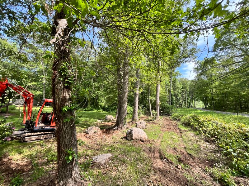 Stump Removal