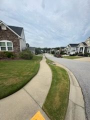 Shrub Trimming