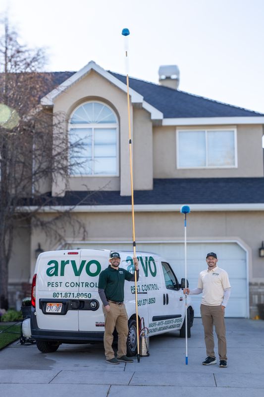 Arvo Pest Control: Eliminate Pests, Ensure Peace