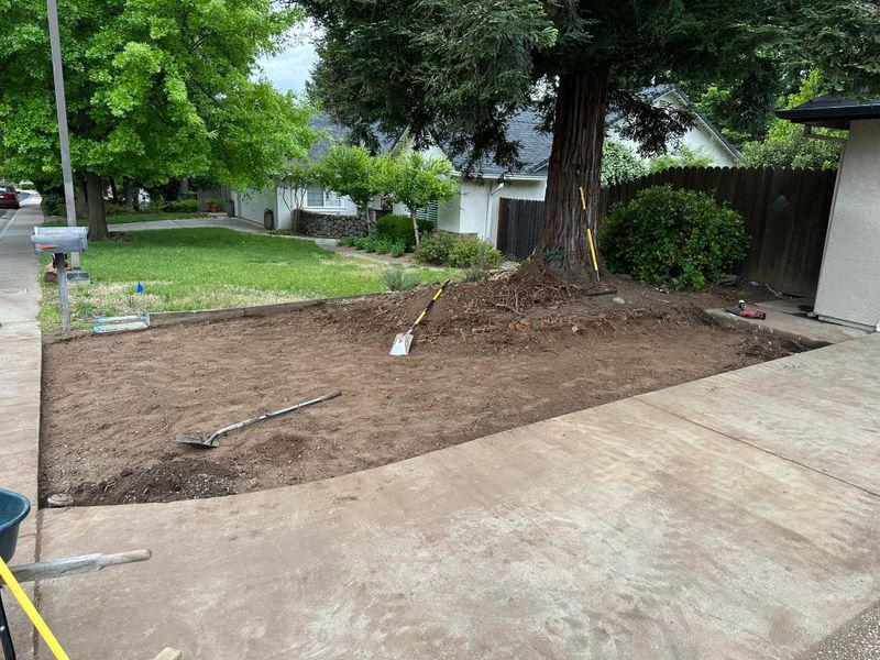 Lawn Maintenance