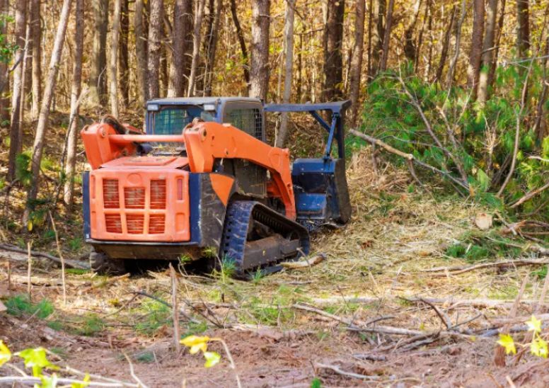 Brush Clearing
