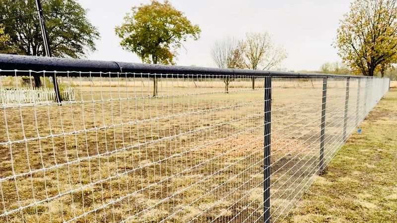 Fence Installation