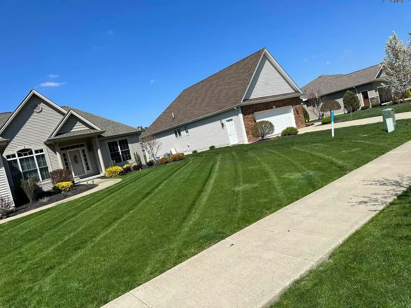 Lawn Care & Maintenance
