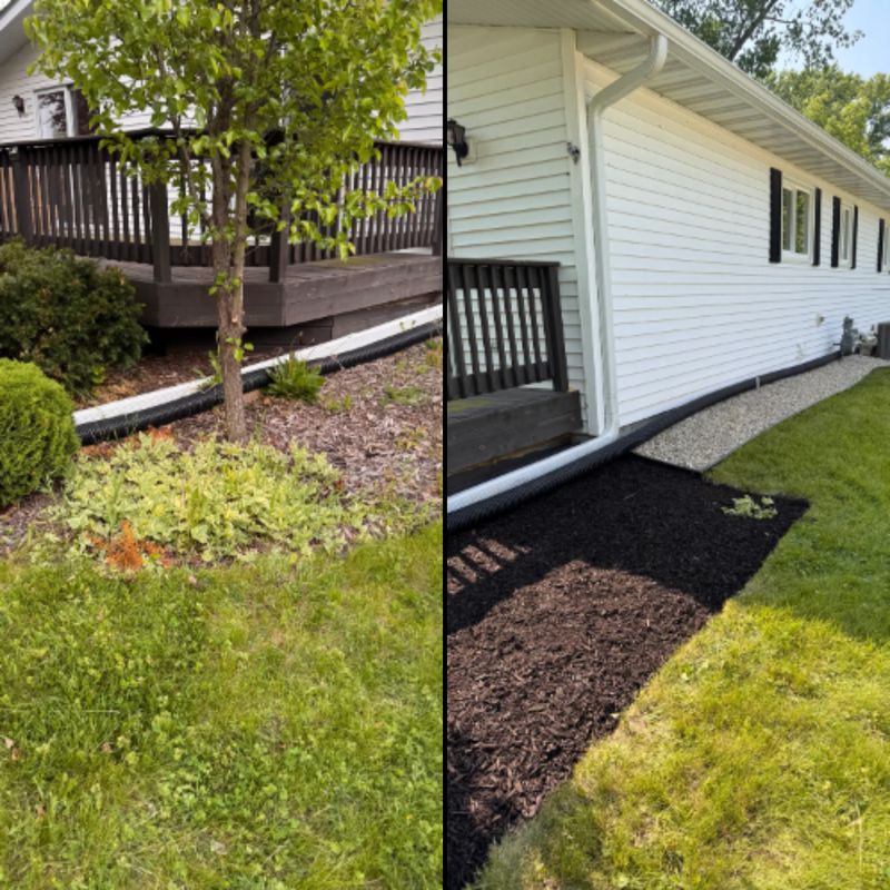 Before & After