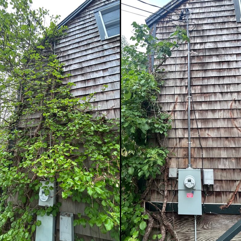 Electrical Panel Upgrades
