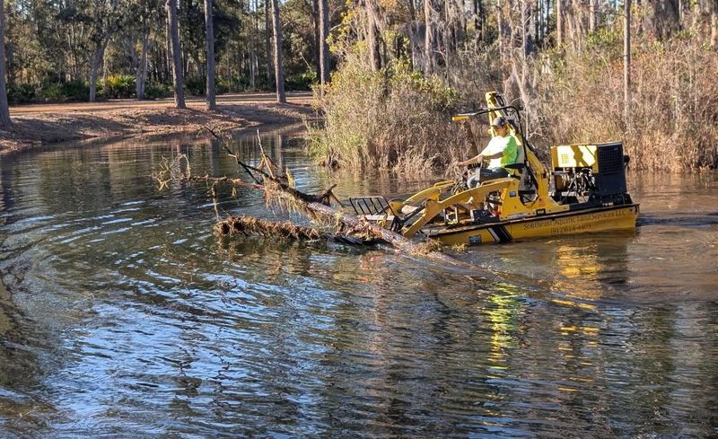 Land Clearing And Clean Up