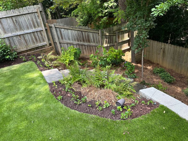 Lawn Care & Maintenance