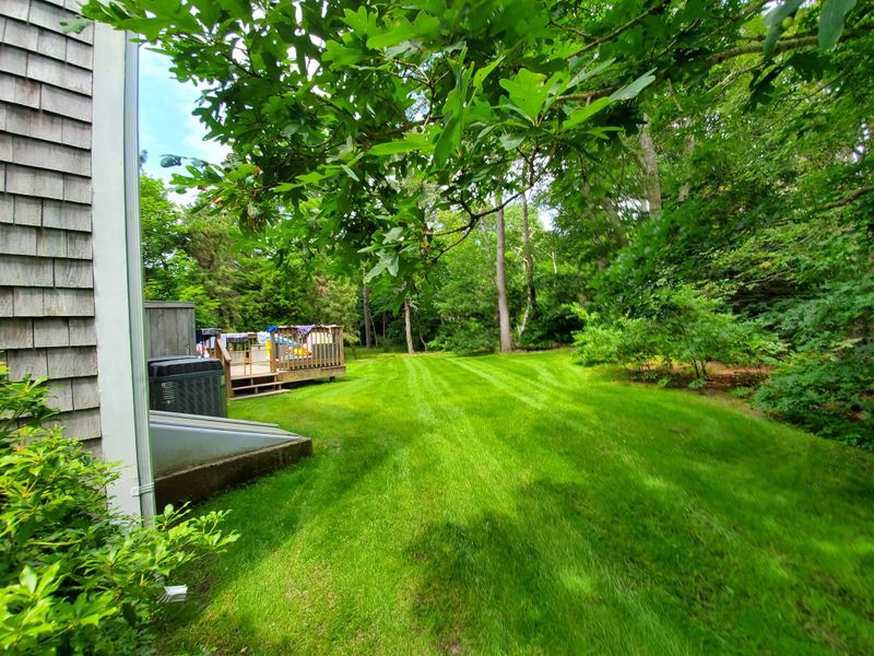 Lawn Maintenance