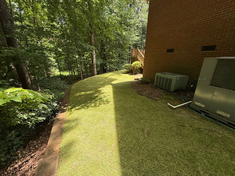 Lawn Maintenance
