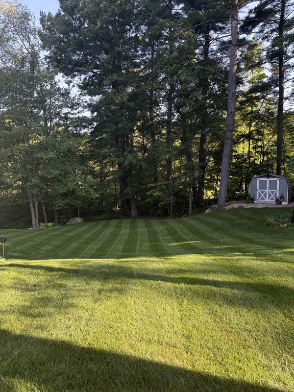 Landscape Design & Installation