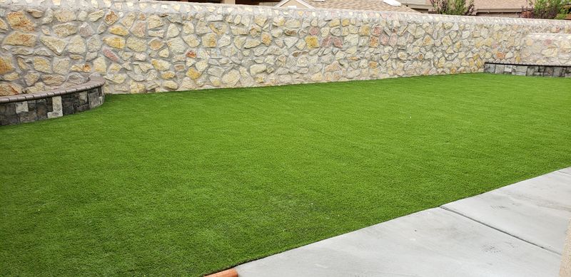 Backyard and Porch