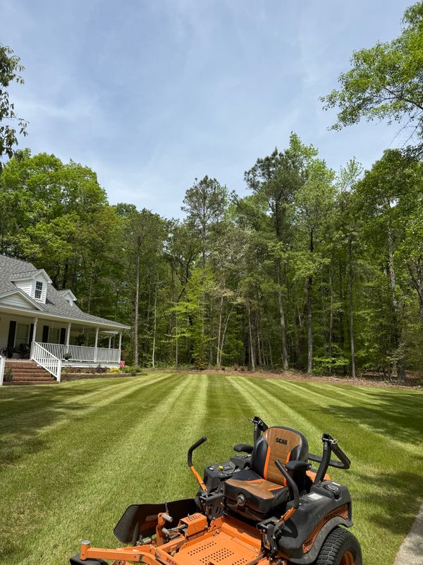 Lawn Maintenance